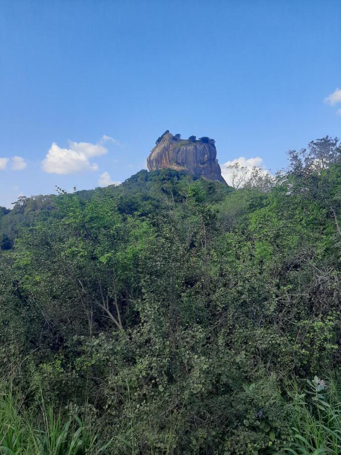 Hotel Chanara Sigiriya Exterior foto